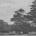 Sutton Park in the 19205