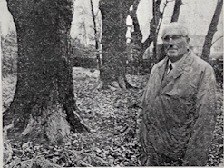 Four Oaks NG Evans