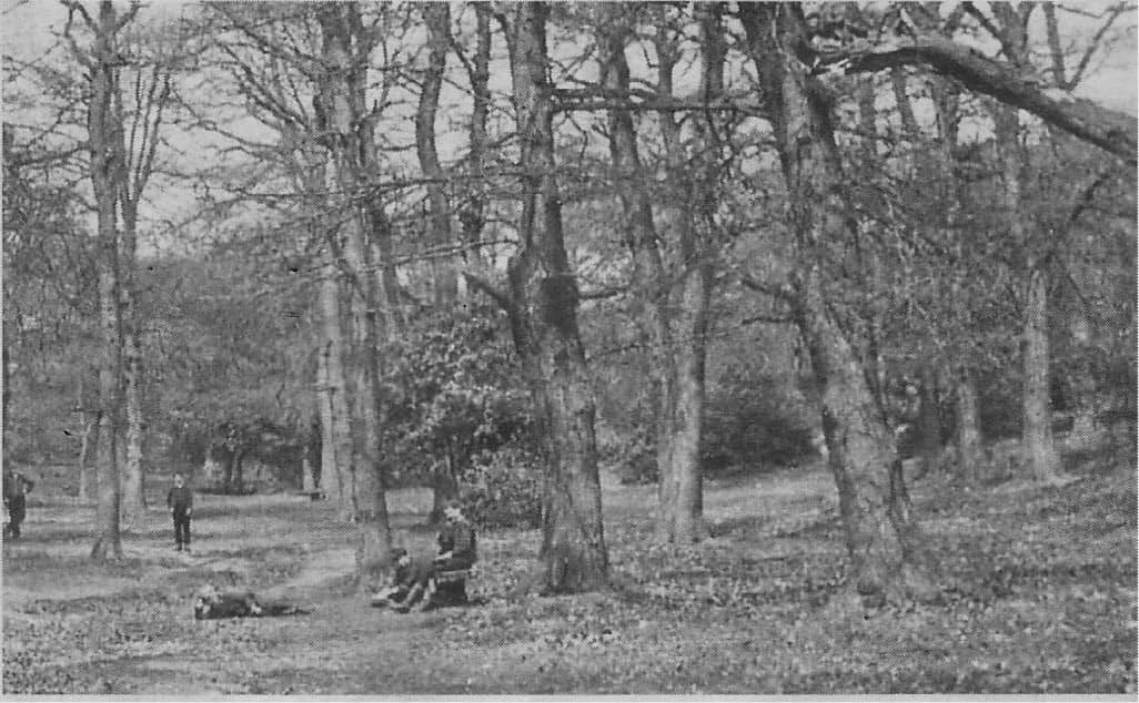 Gumslade Sutton Park 1887